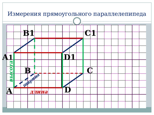 ширина высота Измерения прямоугольного параллелепипеда C1 B1 D1 А 1 C B D А длина 