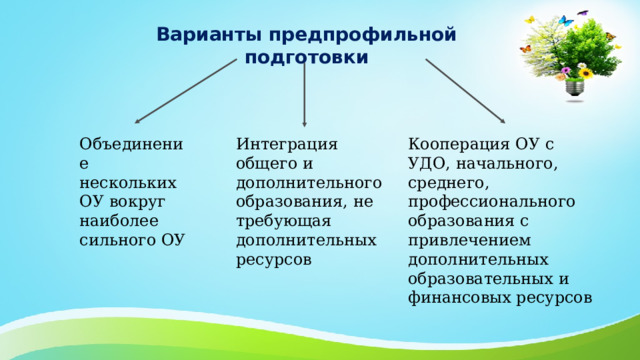 Варианты предпрофильной подготовки Объединение нескольких ОУ вокруг наиболее сильного ОУ Интеграция общего и дополнительного образования, не требующая дополнительных ресурсов Кооперация ОУ с УДО, начального, среднего, профессионального образования с привлечением дополнительных образовательных и финансовых ресурсов 