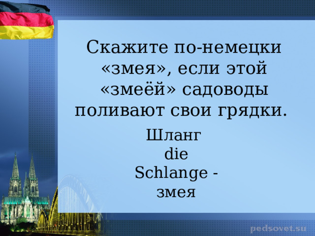 Скажите по-немецки «змея», если этой «змеёй» садоводы поливают свои грядки.  Шланг die Schlange - змея 