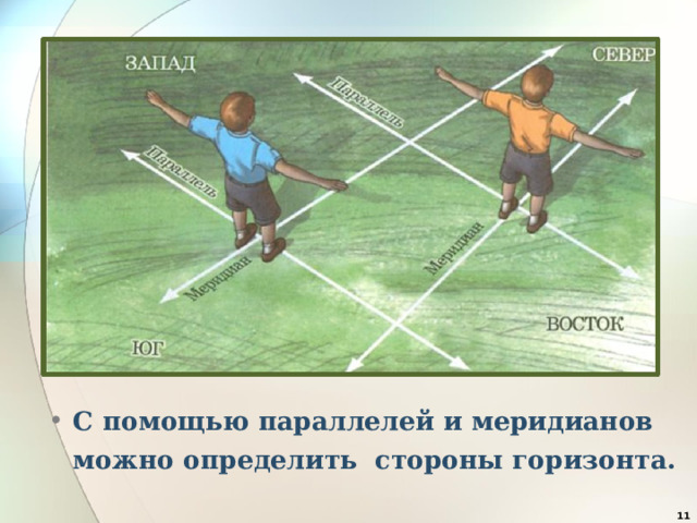 С помощью параллелей и меридианов можно определить стороны горизонта.   