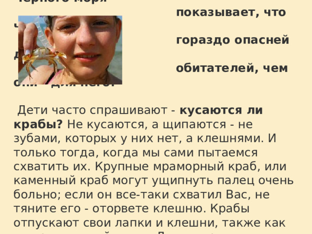  История Черного моря  показывает, что человек  гораздо опасней для моря и его  обитателей, чем они - для него.     Дети часто спрашивают - кусаются ли крабы? Не кусаются, а щипаются - не зубами, которых у них нет, а клешнями. И только тогда, когда мы сами пытаемся схватить их. Крупные мраморный краб, или каменный краб могут ущипнуть палец очень больно; если он все-таки схватил Вас, не тяните его - оторвете клешню. Крабы отпускают свои лапки и клешни, также как ящерицы - свой хвост. Лучше просто оставить его в покое, он отцепится сам.  