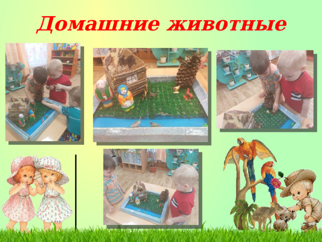 Домашние животные 