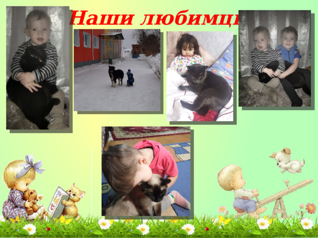 Наши любимцы 