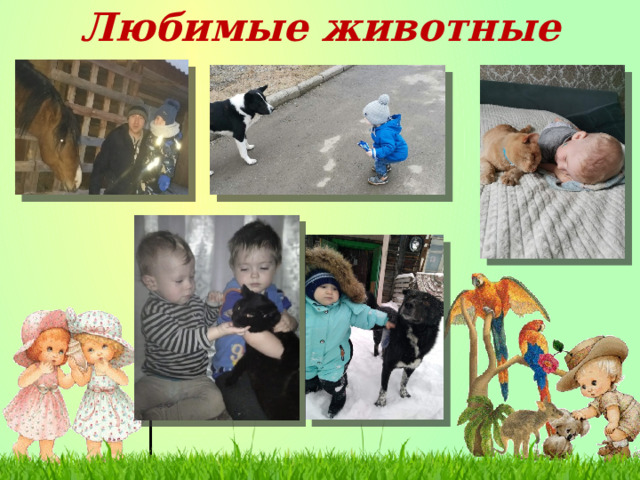 Любимые животные 
