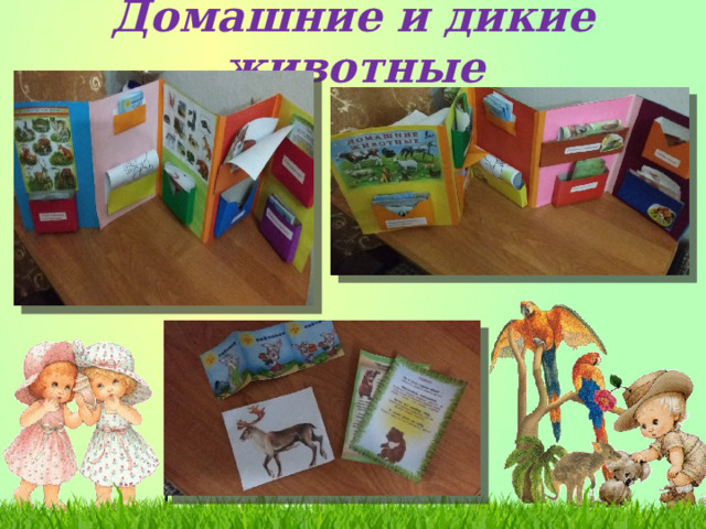  Домашние и дикие животные    