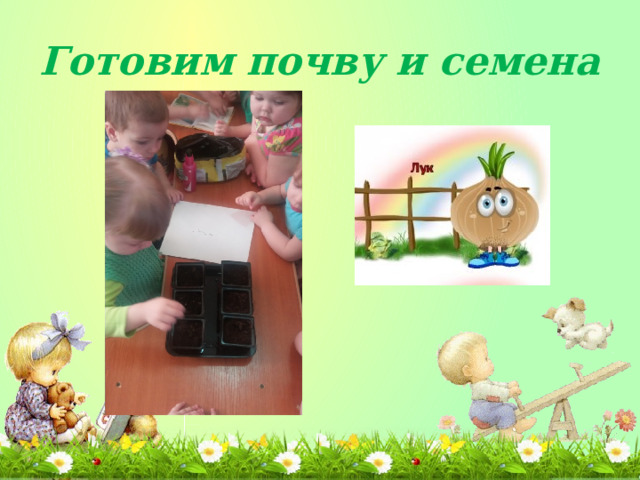 Готовим почву и семена 