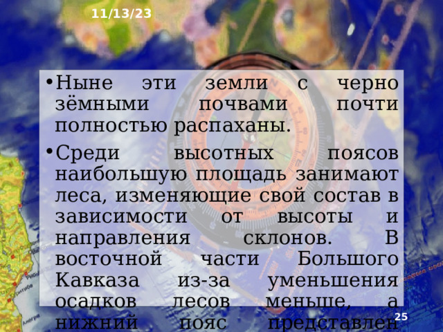 11/13/23 15. Дубовые леса в Ставрополе  
