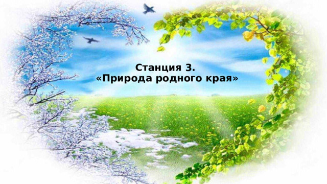 Станция 3.  «Природа родного края»   