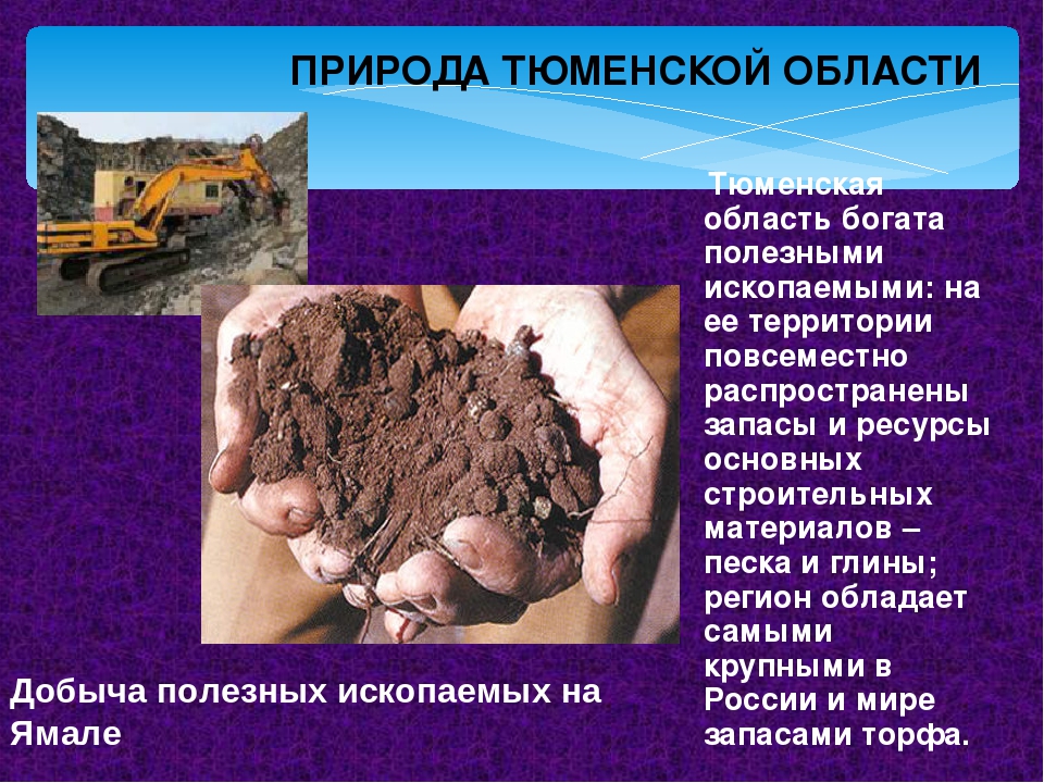 Сообщение о природном ископаемом. Тюменские полезные ископаемые. Полезные ископаемые Тюменской области. Природные ресурсы Тюменской области. Минеральные ресурсы Тюменской области.