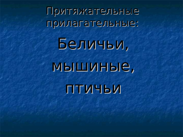 Притяжательные прилагательные: Беличьи, мышиные, птичьи 