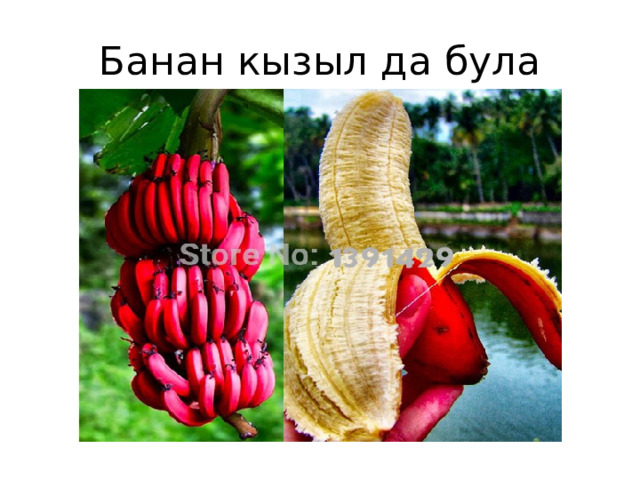 Банан кызыл да була 
