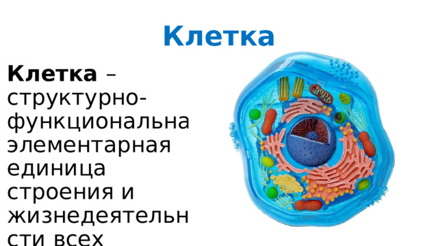 Организм единое целое 5 класс биология тест. Целом это в биологии. Организм как единое целое 6 класс биология.