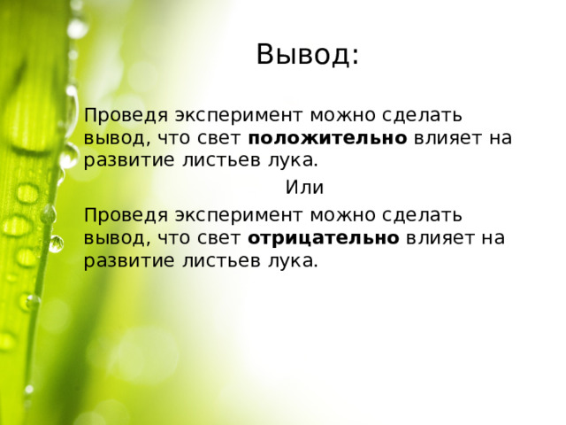 Вывод: Проведя эксперимент можно сделать вывод, что свет положительно влияет на развитие листьев лука. Или Проведя эксперимент можно сделать вывод, что свет отрицательно влияет на развитие листьев лука. 