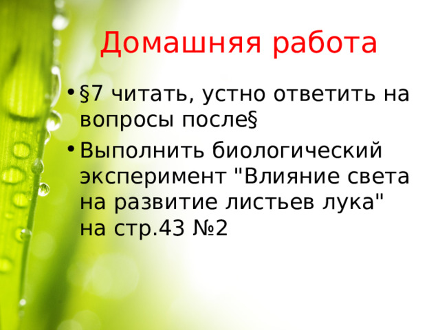 Домашняя работа §7 читать, устно ответить на вопросы после§ Выполнить биологический эксперимент 