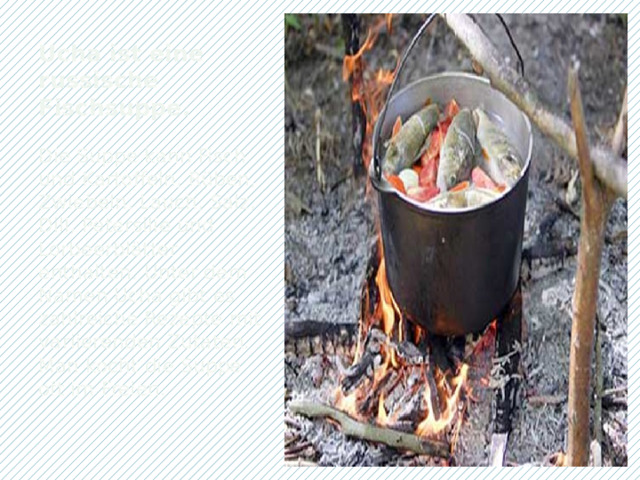 Ucha ist eine russische Fischsuppe.   Die Suppe kann Fisch und Kartoffeln, Rüben, Zwiebeln, Lauch, Salz, Dill, Petersilie und Lorbeerblätter enthalten. Unter dem Namen Ucha gibt es zahlreiche Rezepte mit variierenden Zutaten. Man kocht die Suppe oft im Freien.   