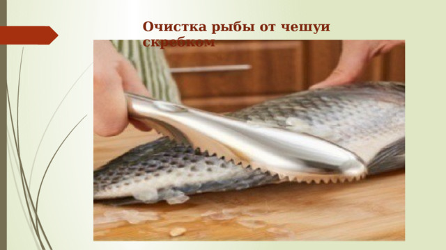 Очистка рыбы от чешуи скребком 