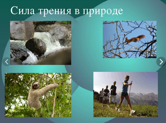 Трение в природе рисунок. Сила трения в природе. Трение в природе. Роль трения в природе. Сила трения в природе примеры.