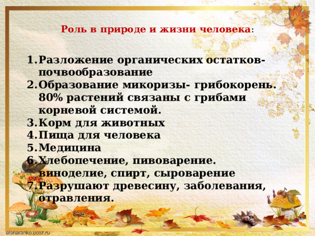  Роль в природе и жизни человека :      Разложение органических остатков-почвообразование Образование микоризы- грибокорень. 80% растений связаны с грибами корневой системой. Корм для животных Пища для человека Медицина Хлебопечение, пивоварение. виноделие, спирт, сыроварение Разрушают древесину, заболевания, отравления. 