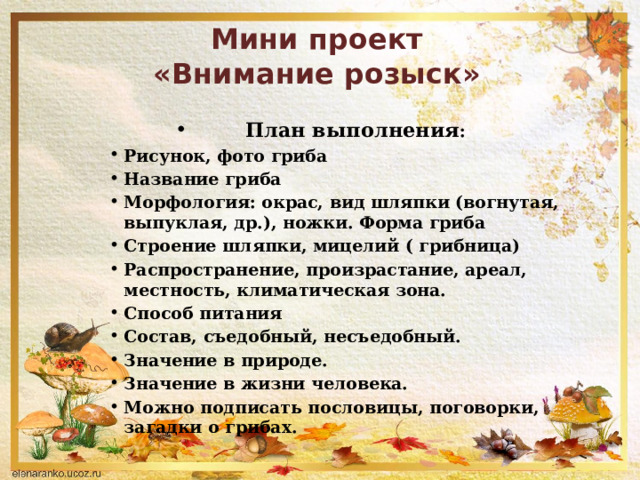 Мини проект  «Внимание розыск»   План выполнения : Рисунок, фото гриба Название гриба Морфология: окрас, вид шляпки (вогнутая, выпуклая, др.), ножки. Форма гриба Строение шляпки, мицелий ( грибница) Распространение, произрастание, ареал, местность, климатическая зона. Способ питания Состав, съедобный, несъедобный. Значение в природе. Значение в жизни человека. Можно подписать пословицы, поговорки, загадки о грибах. 