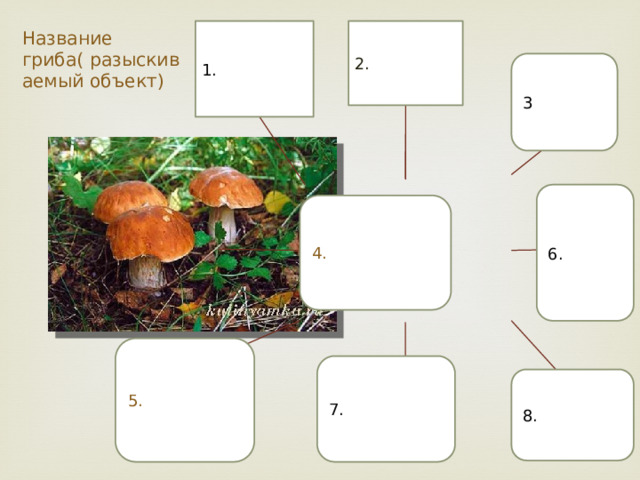 Название гриба( разыскиваемый объект) 2. 1. 3 6. 4. 5. 7. 8. 