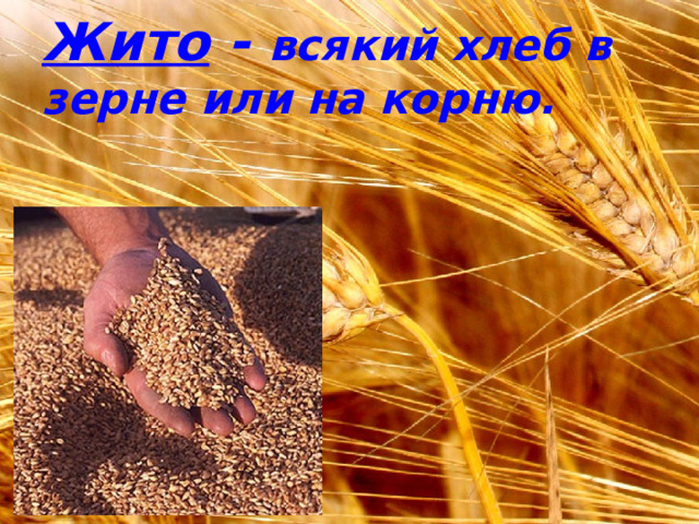 Жито - всякий хлеб в зерне или на корню. 