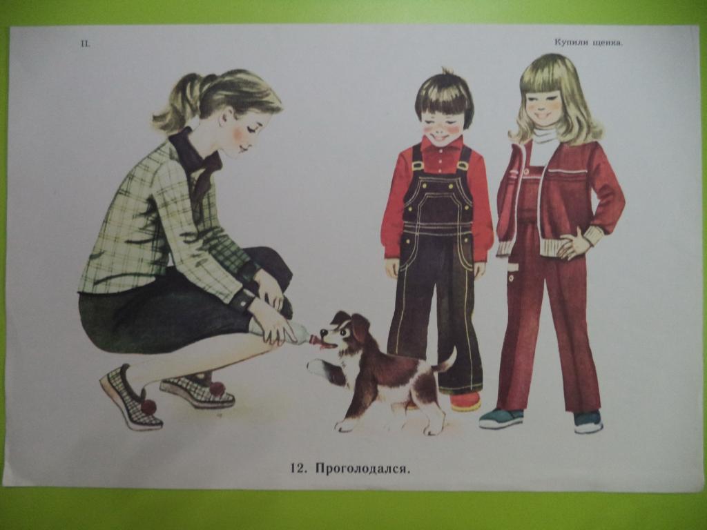 Рассказ по картинкам купили щенка старшая группа. Гербовой в.в. «купили щенка». Сюжетные картинки щенок. Картинки купили щенка.