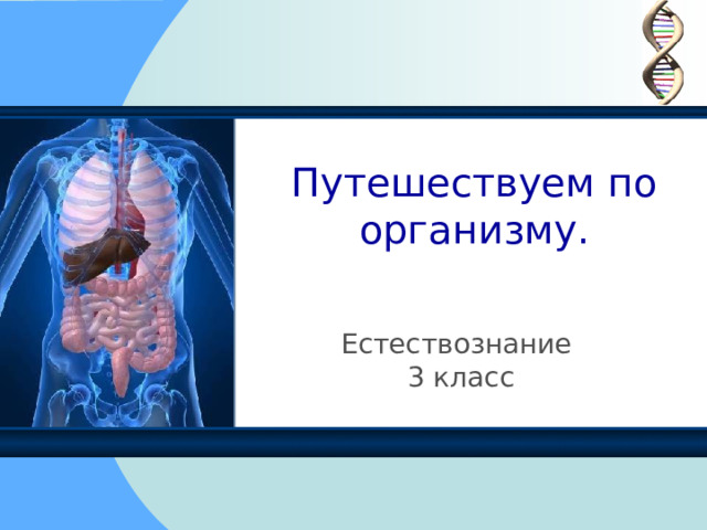 3 класс. Естествознание.Презентация. Раздел (сквозная тема):«Живая ...