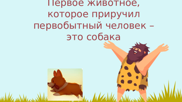 Первое животное, которое приручил первобытный человек – это собака 