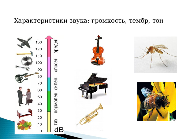  Характеристики звука: громкость, тембр, тон 