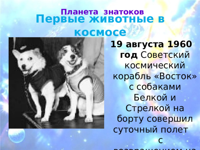  Планета знатоков Первые животные в космосе 19 августа 1960 год Советский космический корабль «Восток» с собаками Белкой и Стрелкой на борту совершил суточный полет с возвращением на Землю 