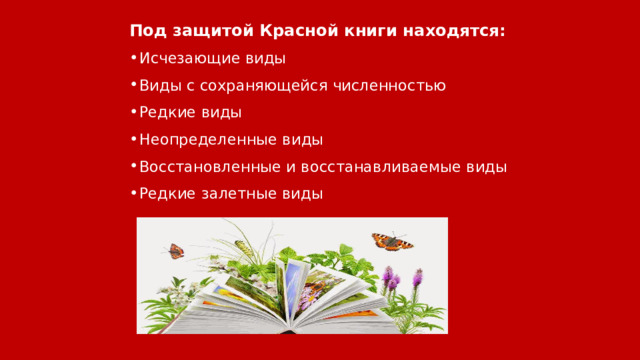 Под защитой Красной книги находятся: Исчезающие виды Виды с сохраняющейся численностью Редкие виды Неопределенные виды Восстановленные и восстанавливаемые виды Редкие залетные виды 