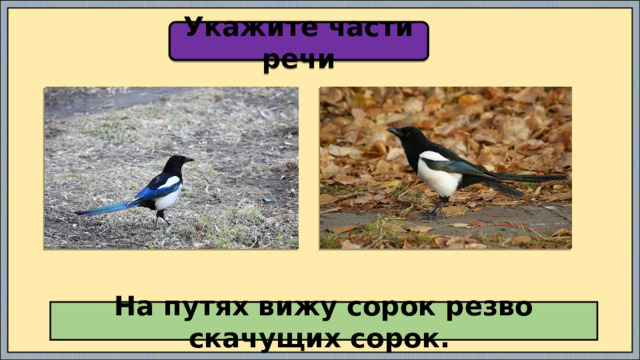 Укажите части речи На путях вижу сорок резво скачущих сорок. 