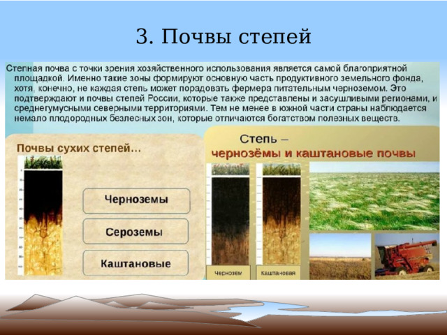 3. Почвы степей 