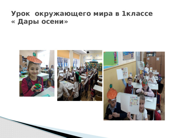 Урок окружающего мира в 1классе  « Дары осени» 