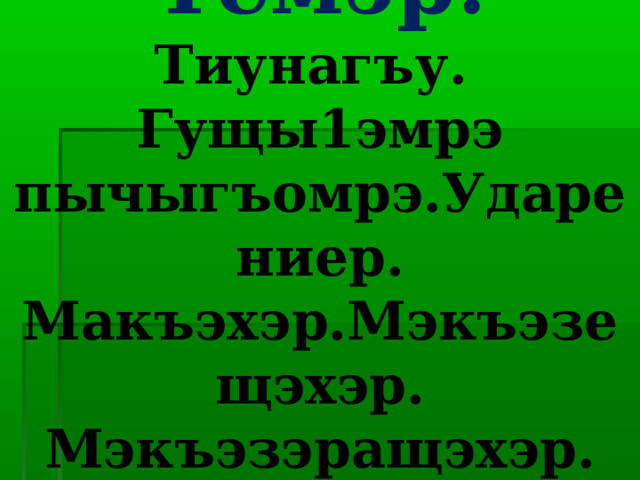 Темэр:  Тиунагъу.  Гущы1эмрэ пычыгъомрэ.Ударениер. Макъэхэр.Мэкъэзещэхэр. Мэкъэзэращэхэр. 