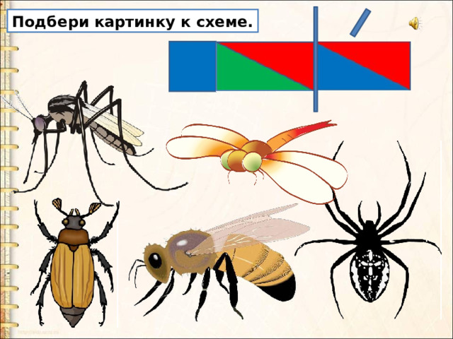 Подбери картинку к схеме. 