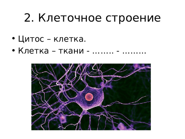 2. Клеточное строение Цитос – клетка. Клетка – ткани - …….. - ………  