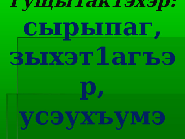 Гущы1ак1эхэр:  сырыпаг,  зыхэт1агъэр,  усэухъумэ 