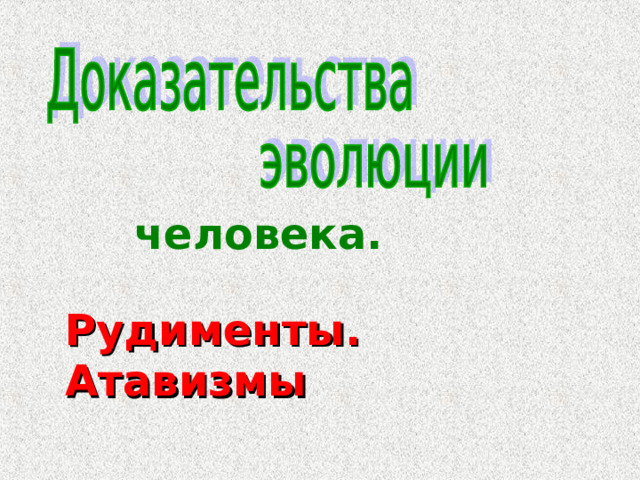 человека. Рудименты. Атавизмы 