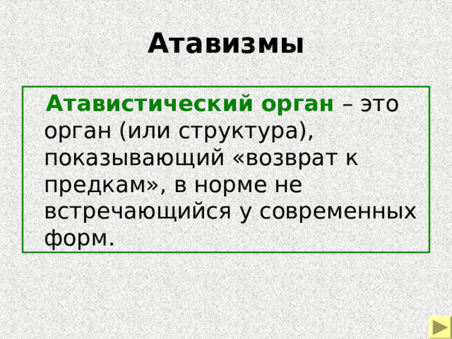 Атавизмы  Атавистический орган – это орган (или структура), показывающий «возврат к предкам», в норме не встречающийся у современных форм. 