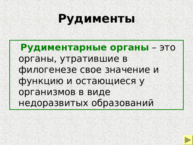 Рудименты  Рудиментарные органы – это органы, утратившие в филогенезе свое значение и функцию и остающиеся у организмов в виде недоразвитых образований 