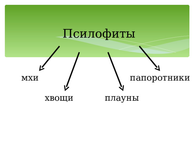 Псилофиты мхи папоротники хвощи плауны 
