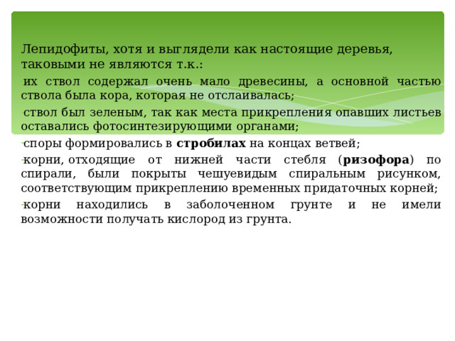 Лепидофиты, хотя и выглядели как настоящие деревья, таковыми не являются т.к.: их ствол содержал очень мало древесины, а основной частью ствола была кора, которая не отслаивалась; ствол был зеленым, так как места прикрепления опавших листьев оставались фотосинтезирующими органами; споры формировались в  стробилах  на концах ветвей; корни, отходящие от нижней части стебля ( ризофора ) по спирали, были покрыты чешуевидым спиральным рисунком, соответствующим прикреплению временных придаточных корней; корни находились в заболоченном грунте и не имели возможности получать кислород из грунта. 
