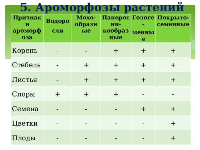 5. Ароморфозы растений   Признаки ароморфоза Водоросли Корень - Мохо-образные Стебель - Листья - Папоротни-кообразные Голосе- менные + - Споры + + + Семена + + Покрыто-семенные - + Цветки + + + - + - Плоды + + - - - - + - + - - - - + - + + 