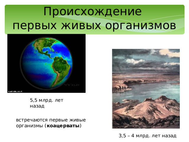 Происхождение  первых живых организмов 5,5 млрд. лет назад встречаются первые живые организмы ( коацерваты ) 3,5 – 4 млрд. лет назад 