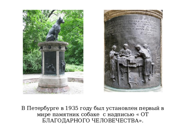 В Петербурге в 1935 году был установлен первый в мире памятник собаке с надписью « ОТ БЛАГОДАРНОГО ЧЕЛОВЕЧЕСТВА». 