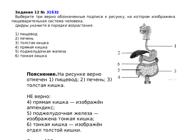 Задание 12 №  31632 Выберите три верно обозначенные подписи к рисунку, на котором изображена пищеварительная система человека. Цифры укажите в порядке возрастания.                                                                         1) пищевод 2) печень 3) толстая кишка 4) прямая кишка 5) поджелудочная железа 6) тонкая кишка Пояснение. На рисунке верно отмечен 1) пищевод; 2) печень; 3) толстая кишка.   НЕ верно: 4) прямая кишка — изображён аппендикс; 5) поджелудочная железа — изображена тонкая кишка; 6) тонкая кишка — изображён отдел толстой кишки.   Ответ: 123. 