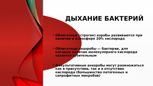 ДЫХАНИЕ БАКТЕРИЙ Облигатные (строгие) аэробы развиваются при наличии в атмосфере 20% кислорода  Облигатные анаэробы — бактерии, для которых наличие молекулярного кислорода является губительным  Факультативные анаэробы могут размножаться как в присутствии, так и в отсутствие кислорода (большинство патогенных и сапрофитных микробов)  