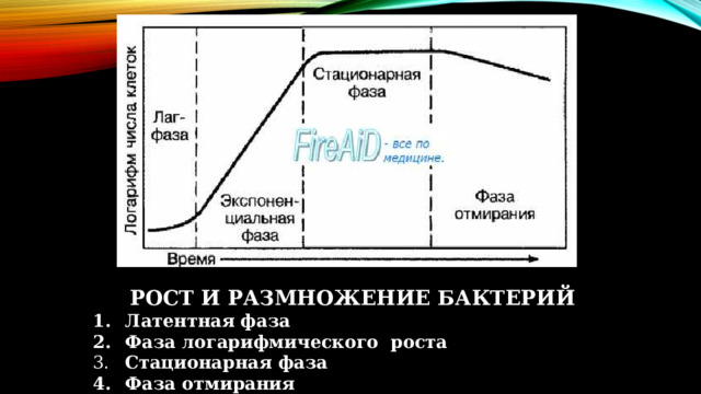  РОСТ И РАЗМНОЖЕНИЕ БАКТЕРИЙ  Латентная  фаза  Фаза логарифмического роста  Стационарная фаза   Фаза отмирания  