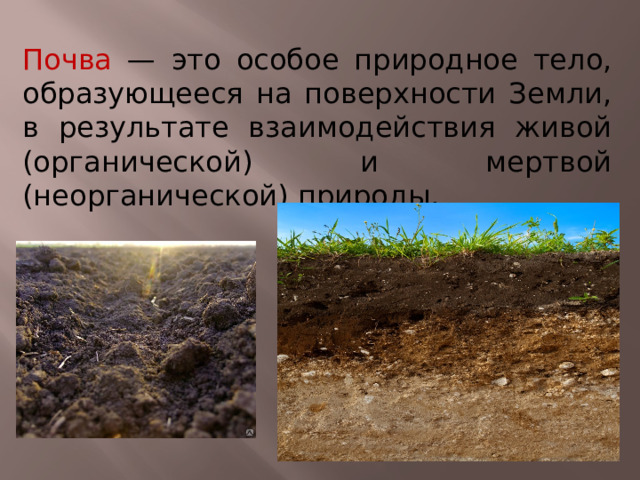 Почва — это особое природное тело, образующееся на поверхности Земли, в результате взаимодействия живой (органической) и мертвой (неорганической) природы. 